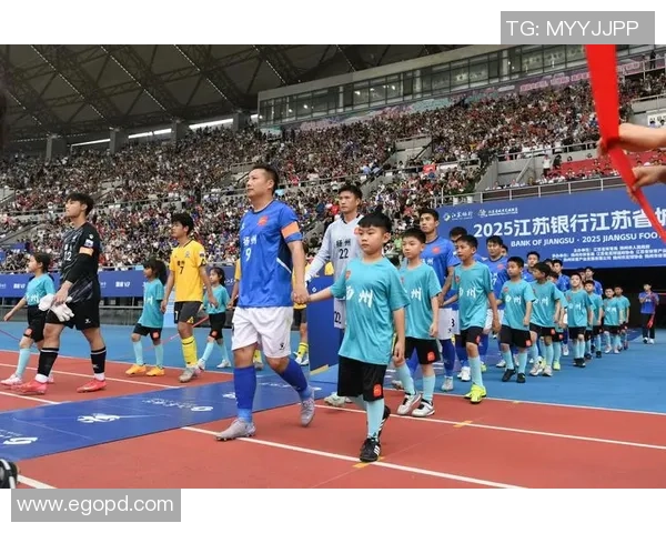 业余与职业的界限探讨苏超联赛为中国足球发展提供新思路