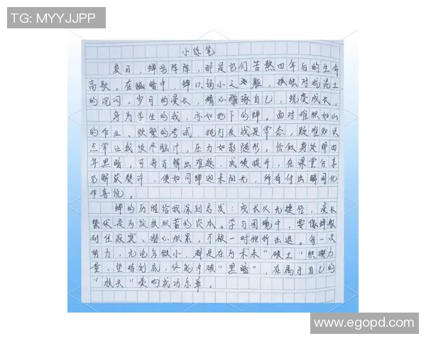 坦然的成长之路：从边路新秀到冠军选手的蜕变历程