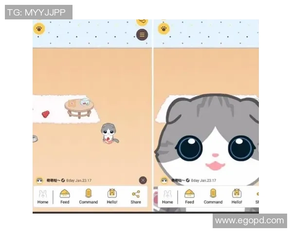 云玩家的游戏体验与传统玩家的差异探讨及其在热门游戏中的角色分析